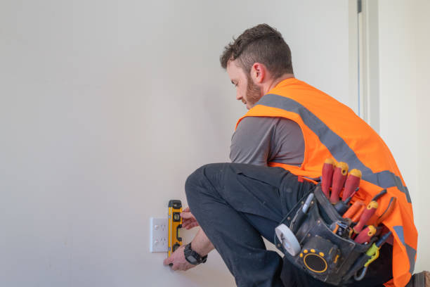 Best Electric Panel Repair  in Orchard Mesa, CO